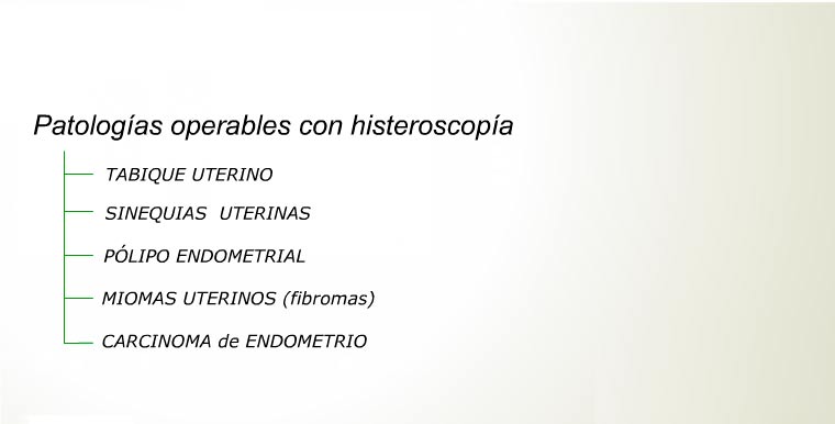 Histeroscopía